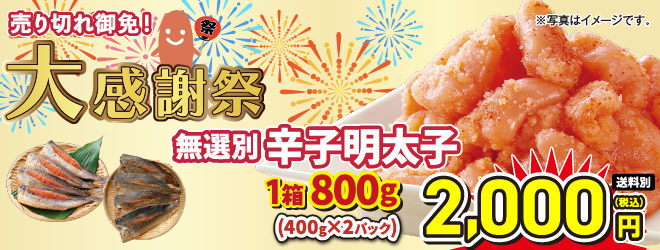 今年も開催！大感謝祭！店頭販売は6/5〜6/7、配送受付は6/8〜12まで！