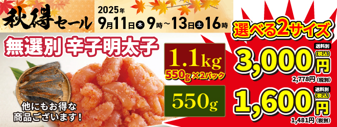 秋得セール開催！