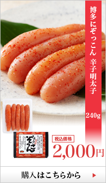 博多にぞっこん　辛子明太子 250g