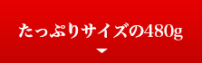 たっぷりサイズの500g